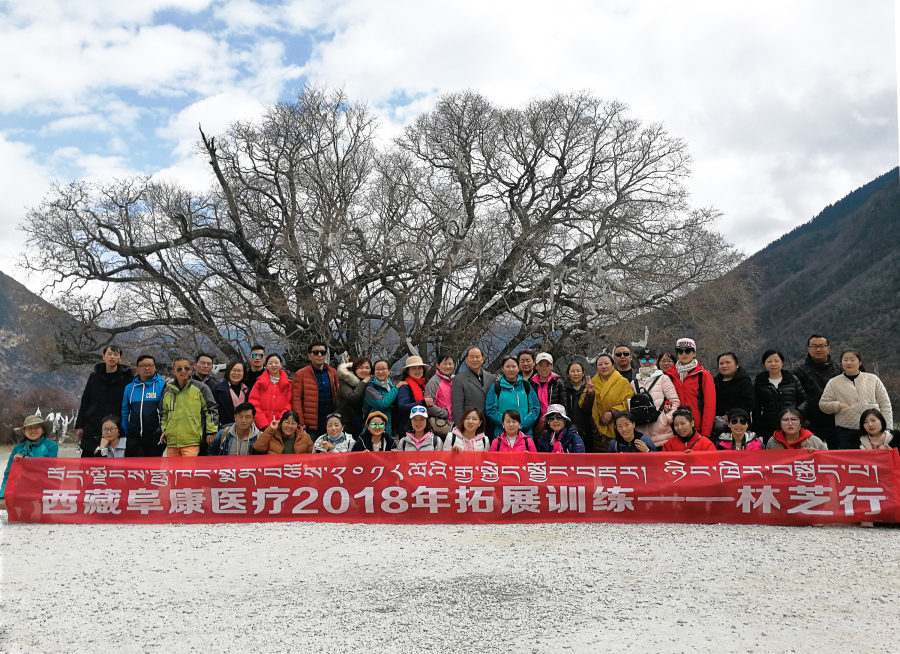 西藏阜康醫(yī)療2018年拓展訓(xùn)練——增強(qiáng)團(tuán)隊(duì)凝聚力、提升團(tuán)隊(duì)協(xié)作能力，更好地為患者服務(wù)